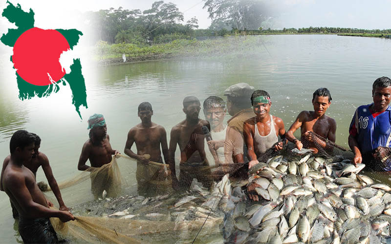 1-Farazi Agro & Fisheries